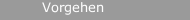 Vorgehen